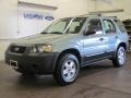 2006 Titanium Green Metallic Ford Escape XLS  photo #1