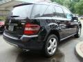 Black - ML 350 4Matic Photo No. 5