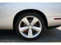 Bright Silver Metallic - Challenger SRT8 Photo No. 10