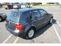 2004 Blue Anthracite Metallic Volkswagen Golf GL 4 Door  photo #4
