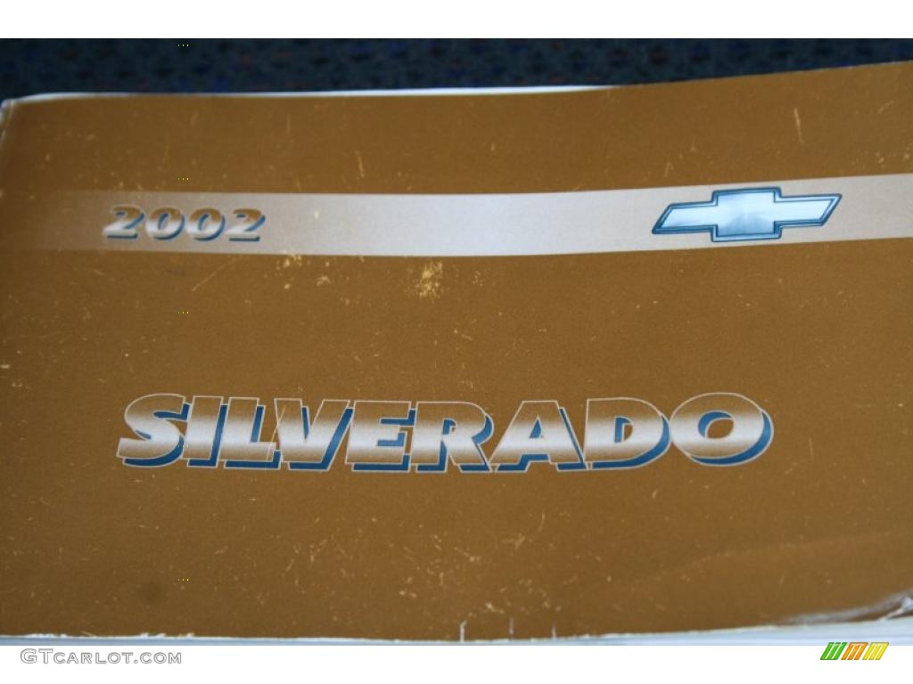2002 Silverado 1500 LS Extended Cab - Forest Green Metallic / Graphite Gray photo #12