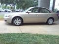 Golden Beige - Sonata GLS V6 Photo No. 18
