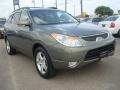 2007 Natural Khaki Hyundai Veracruz Limited  photo #8