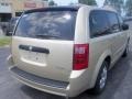 White Gold Pearl - Grand Caravan SE Photo No. 9