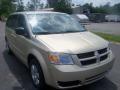 White Gold Pearl - Grand Caravan SE Photo No. 10