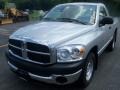 2007 Mineral Gray Metallic Dodge Ram 1500 ST Regular Cab  photo #1