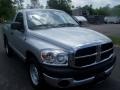 2007 Mineral Gray Metallic Dodge Ram 1500 ST Regular Cab  photo #9