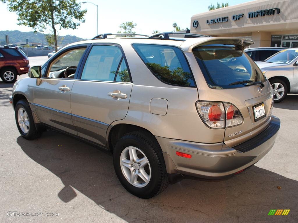 2001 RX 300 AWD - Burnished Gold Metallic / Ivory photo #5