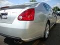 Radiant Silver Metallic - Maxima 3.5 SE Photo No. 15