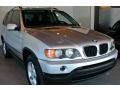 Titanium Silver Metallic - X5 3.0i Photo No. 1