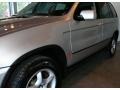 Titanium Silver Metallic - X5 3.0i Photo No. 10
