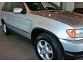 Titanium Silver Metallic - X5 3.0i Photo No. 11