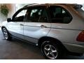 Titanium Silver Metallic - X5 3.0i Photo No. 14