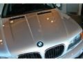 Titanium Silver Metallic - X5 3.0i Photo No. 15