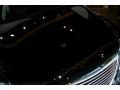 Obsidian Black - LS 460 Photo No. 17
