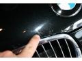2007 Black Sapphire Metallic BMW 3 Series 335i Coupe  photo #27