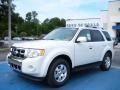 2010 White Suede Ford Escape Limited V6  photo #1