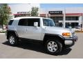 Titanium Metallic - FJ Cruiser 4WD Photo No. 1