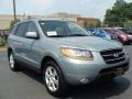 2008 Platinum Sage Hyundai Santa Fe Limited 4WD  photo #6