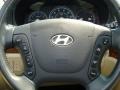 2008 Platinum Sage Hyundai Santa Fe Limited 4WD  photo #21