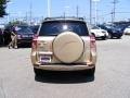 2010 Sandy Beach Metallic Toyota RAV4 I4  photo #4