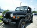 Black - Wrangler Sport 4x4 Photo No. 1