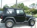 Black - Wrangler Sport 4x4 Photo No. 6