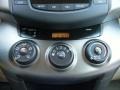 2010 Sandy Beach Metallic Toyota RAV4 I4  photo #21