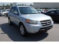 2007 Silver Blue Hyundai Santa Fe SE  photo #1