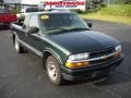 Forest Green Metallic - S10 LS Extended Cab Photo No. 20