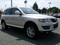 Reflex Silver Metallic - Touareg 2 VR6 Photo No. 7