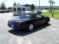 Evening Black - Thunderbird Premium Roadster Photo No. 5