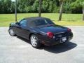 Evening Black - Thunderbird Premium Roadster Photo No. 7