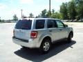 2009 Brilliant Silver Metallic Ford Escape XLT V6  photo #5