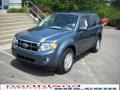 2010 Steel Blue Metallic Ford Escape XLT V6 4WD  photo #2