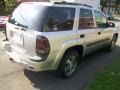 Silverstone Metallic - TrailBlazer LS 4x4 Photo No. 4