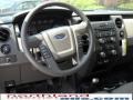 2010 Blue Flame Metallic Ford F150 STX SuperCab 4x4  photo #14