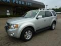 Silver Metallic - Escape Limited 4WD Photo No. 7