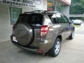 2010 Pyrite Metallic Toyota RAV4 I4 4WD  photo #2