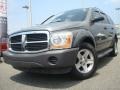 2006 Mineral Gray Metallic Dodge Durango SXT  photo #1