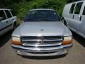 2000 Light Driftwood Satin Glow Dodge Dakota Regular Cab  photo #4