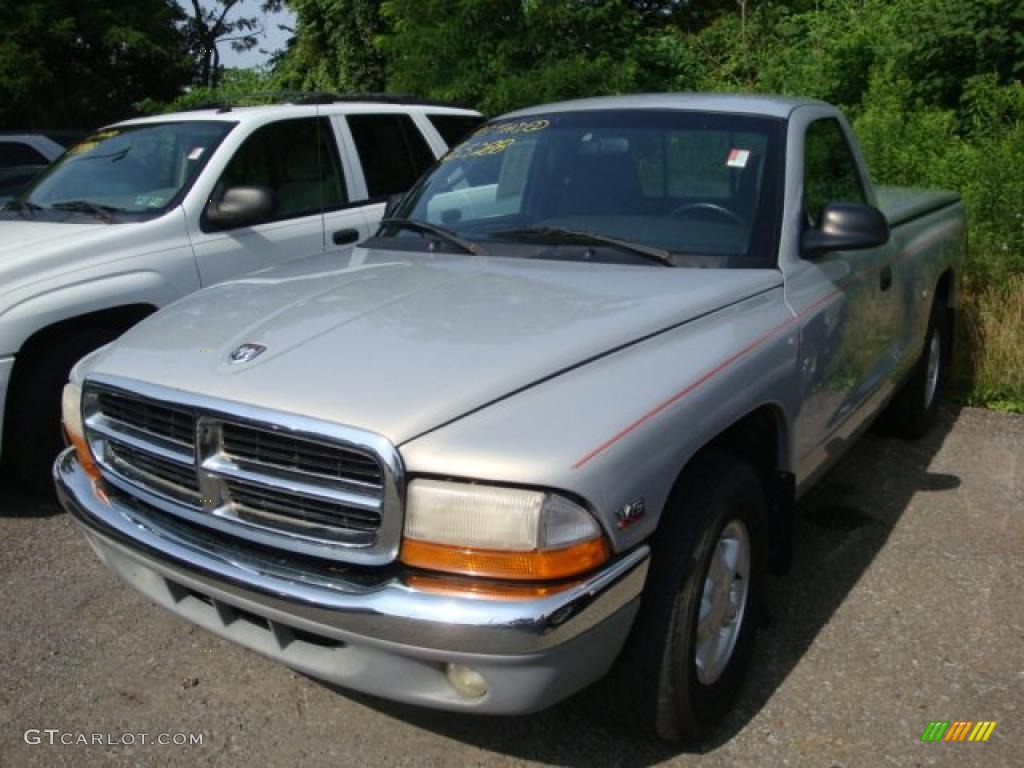 2000 Dakota Regular Cab - Light Driftwood Satin Glow / Mist Gray photo #5