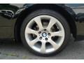 2008 Jet Black BMW 3 Series 328xi Coupe  photo #18