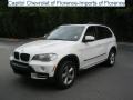 Alpine White - X5 3.0si Photo No. 1
