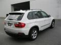 Alpine White - X5 3.0si Photo No. 3