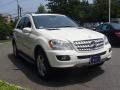 Arctic White - ML 350 4Matic Photo No. 3