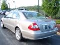 Pewter Metallic - E 350 4Matic Sedan Photo No. 8