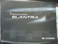2009 Quicksilver Hyundai Elantra SE Sedan  photo #34