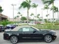 Black - Mustang V6 Premium Convertible Photo No. 5