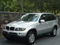 Titanium Silver Metallic - X5 3.0i Photo No. 1